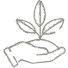 Agricultura Biológica