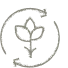 Biodiversidade e Ecossistemas