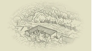 Quinta